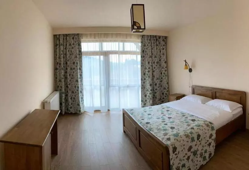 Hotelli Pensiunea Bradul