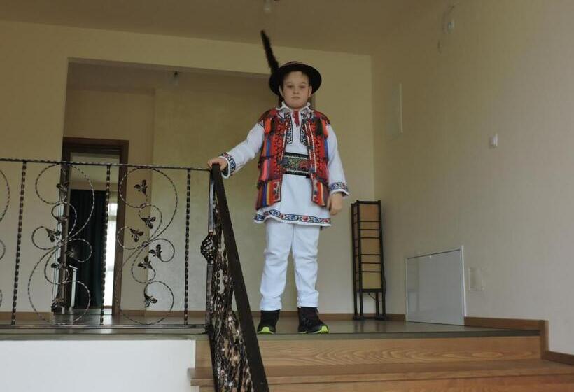 Hotel Pensiunea Bradul