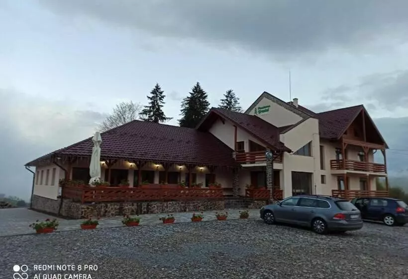 Hotelli Pensiunea Bradul