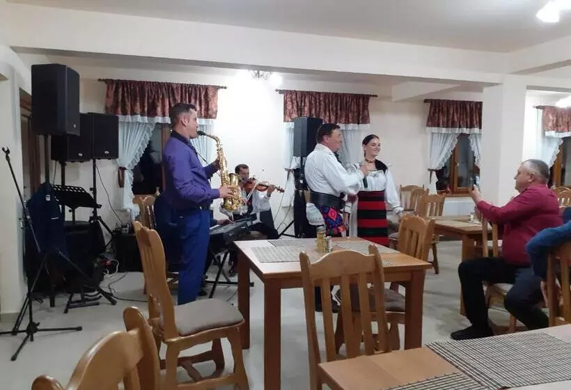Hotelli Pensiunea Bradul