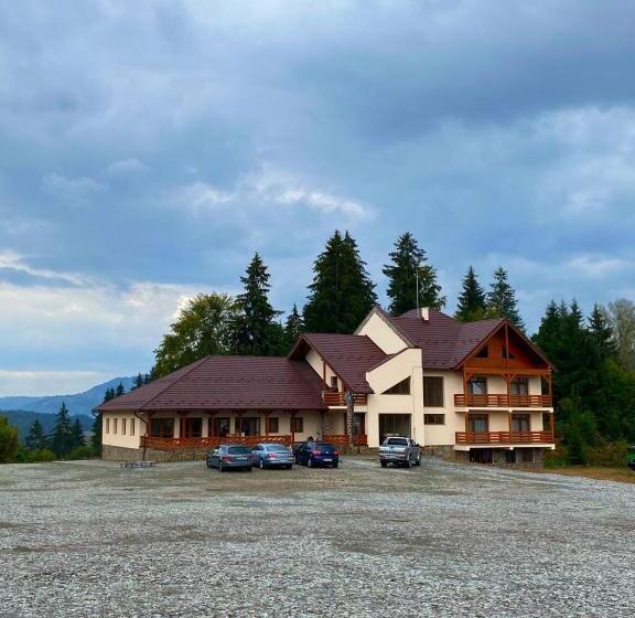 Hotel Pensiunea Bradul