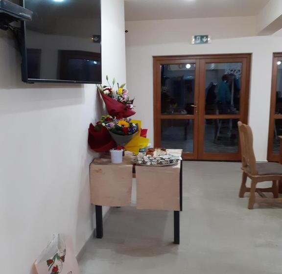 Hotel Pensiunea Bradul