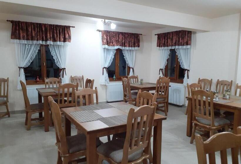 Hotel Pensiunea Bradul