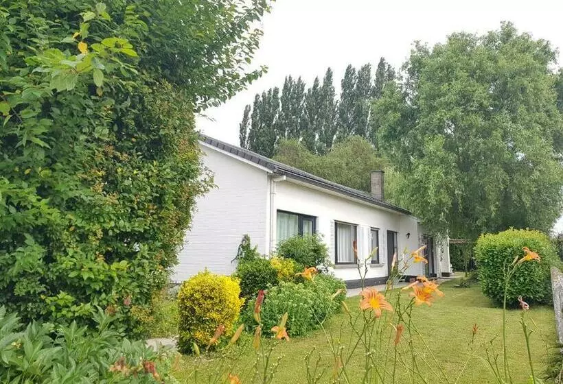 Mary S Poppies   Bed & Breakfast