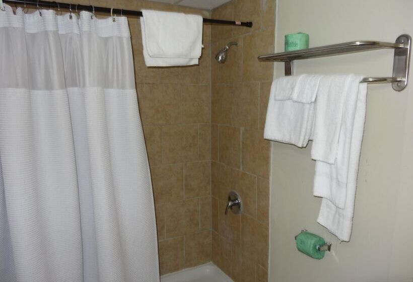 모텔 Red Apple Inn