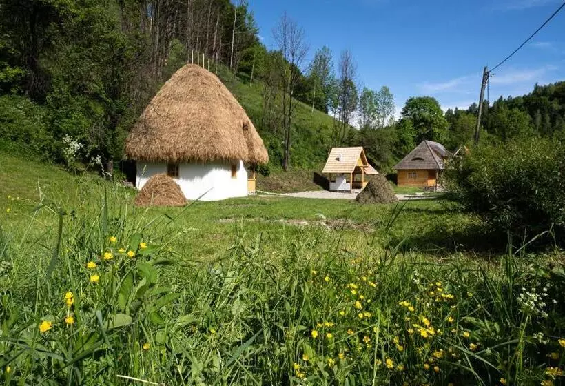 ペンション Casa Bunicilor Apuseni