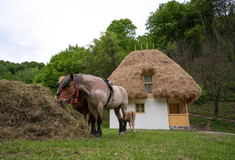 Пансион Casa Bunicilor Apuseni