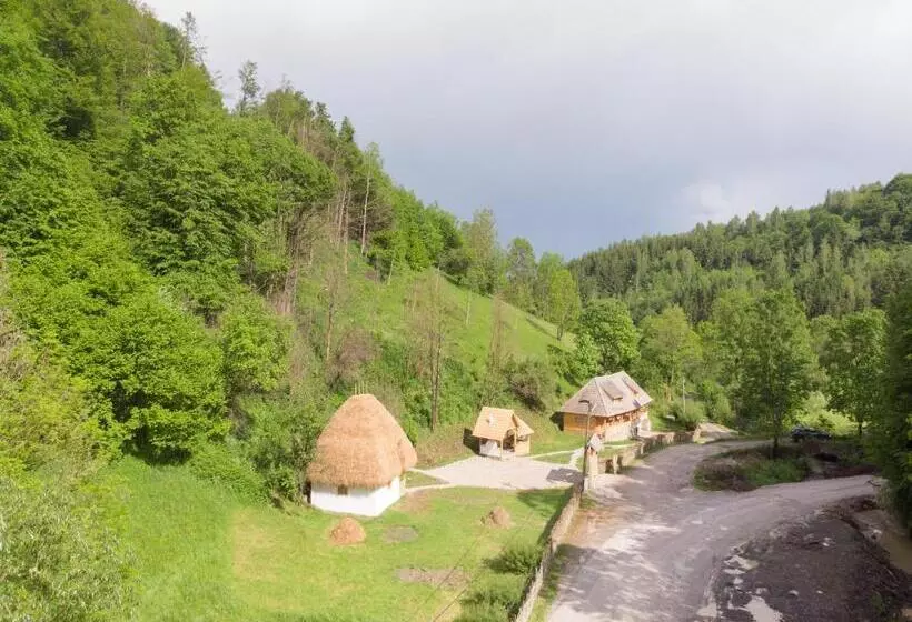 ペンション Casa Bunicilor Apuseni