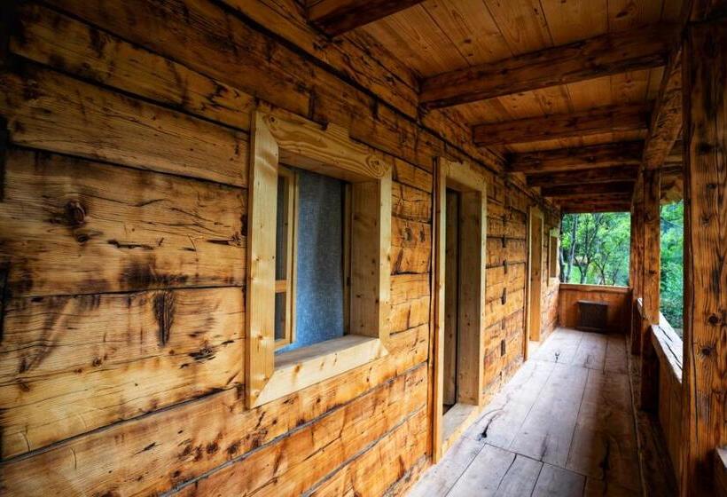 Пансион Casa Bunicilor Apuseni