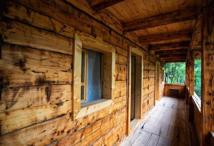 ペンション Casa Bunicilor Apuseni