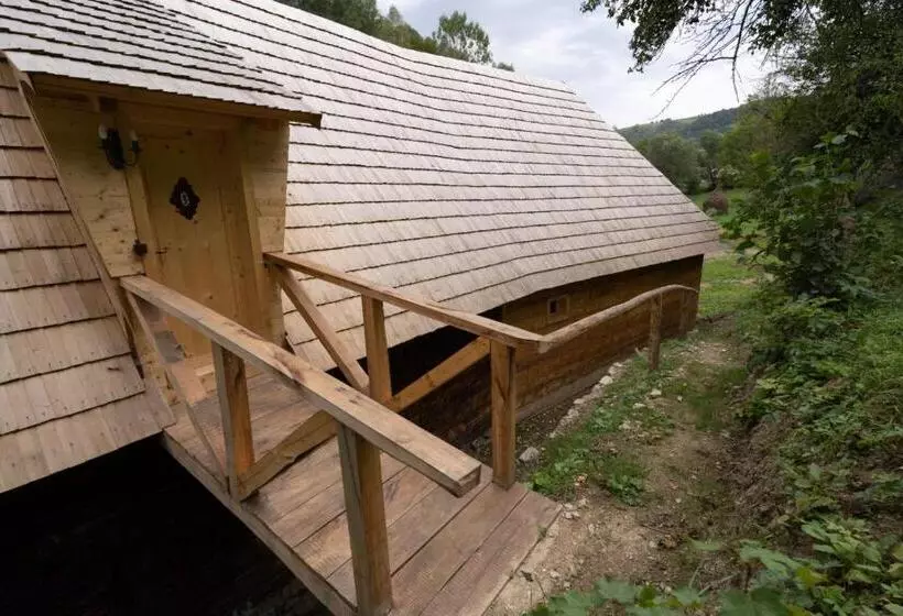 ペンション Casa Bunicilor Apuseni