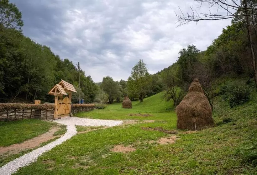 ペンション Casa Bunicilor Apuseni