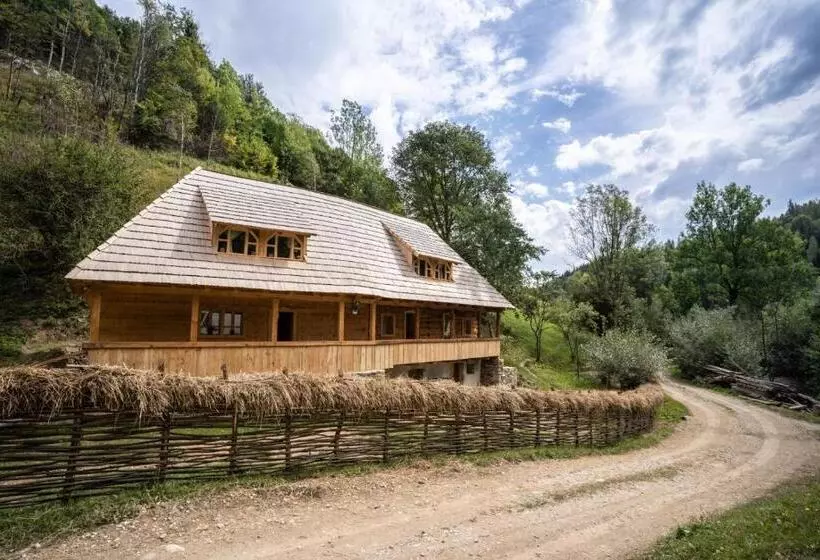 ペンション Casa Bunicilor Apuseni