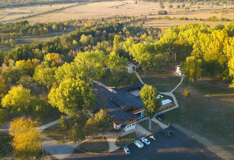 بنسيون Paradise Park