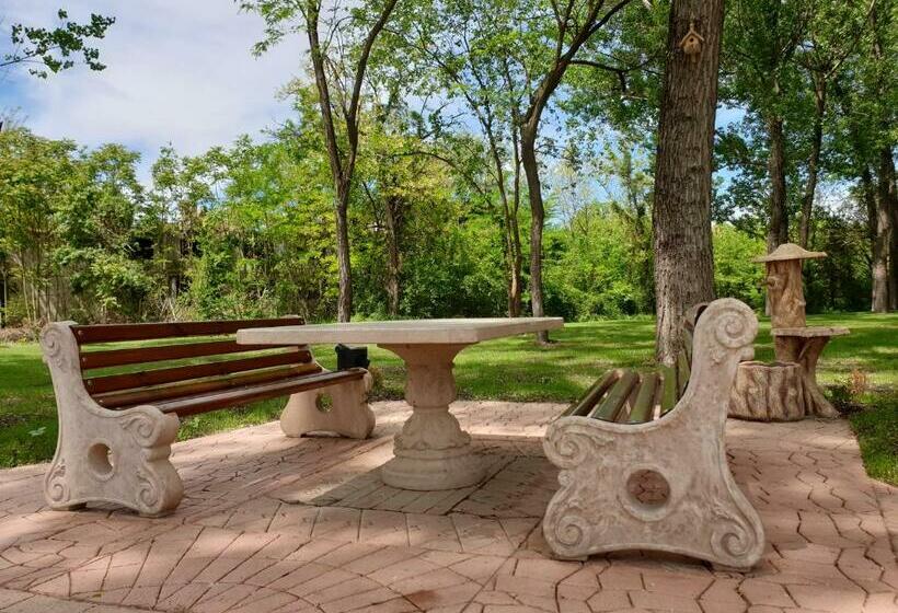 بنسيون Paradise Park