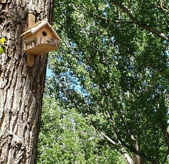 بنسيون Paradise Park