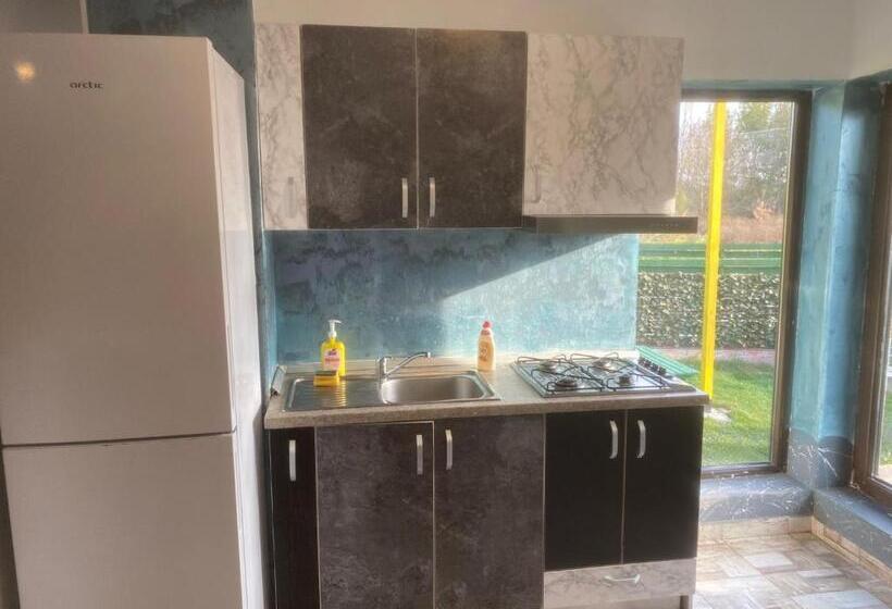 פנסיון Vila Petreceri Private