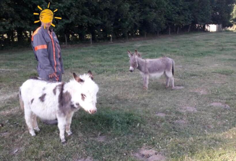 مبيت وإفطار Domaine De Pimont