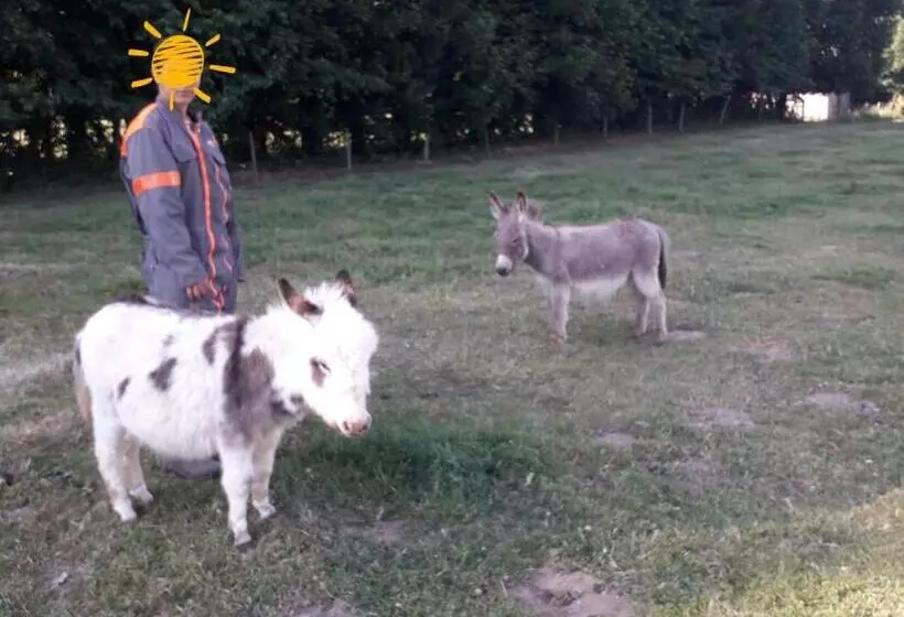 Aamiaismajoitus (B&B) Domaine De Pimont