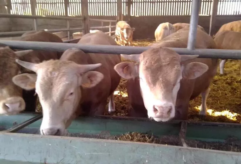 Aamiaismajoitus (B&B) Domaine De Pimont