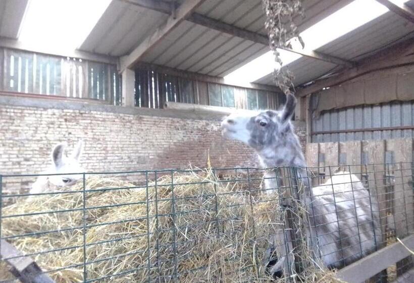 مبيت وإفطار Domaine De Pimont