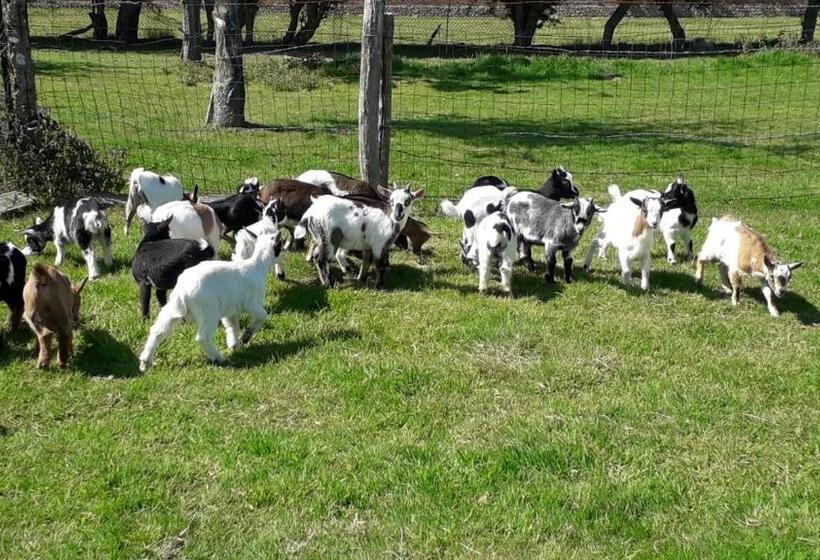 مبيت وإفطار Domaine De Pimont