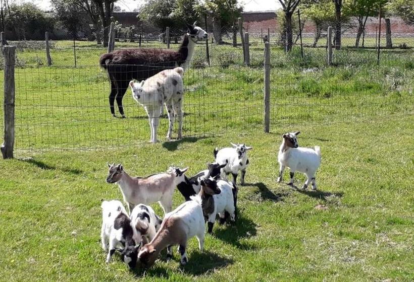 مبيت وإفطار Domaine De Pimont