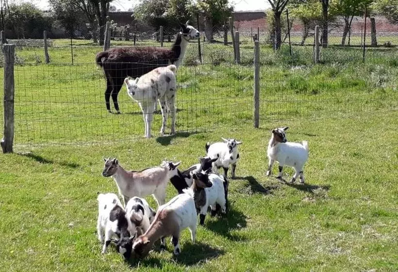 Aamiaismajoitus (B&B) Domaine De Pimont