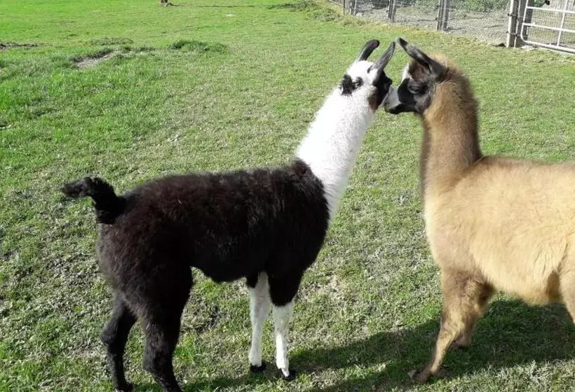 Aamiaismajoitus (B&B) Domaine De Pimont