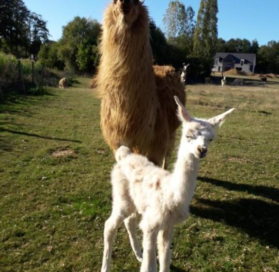 مبيت وإفطار Domaine De Pimont