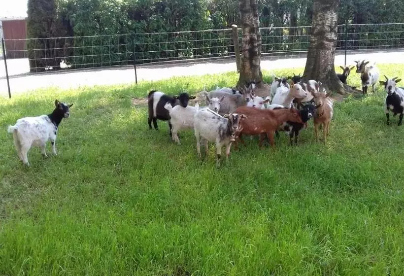 Aamiaismajoitus (B&B) Domaine De Pimont