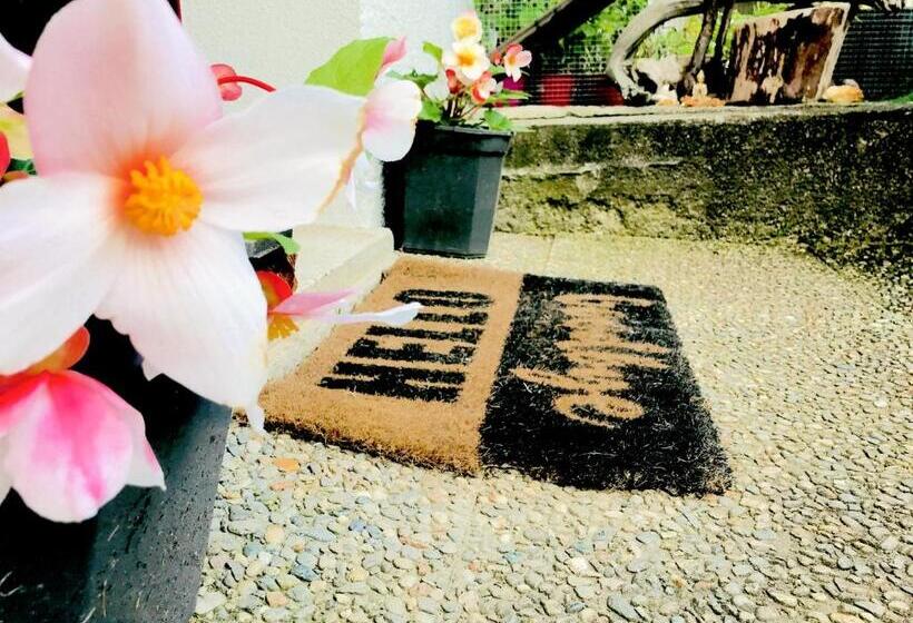 Bed and Breakfast Lotus Oasis I Natural Food & Room Experience