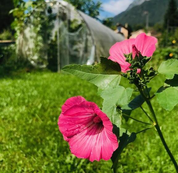 Bed and Breakfast Lotus Oasis I Natural Food & Room Experience