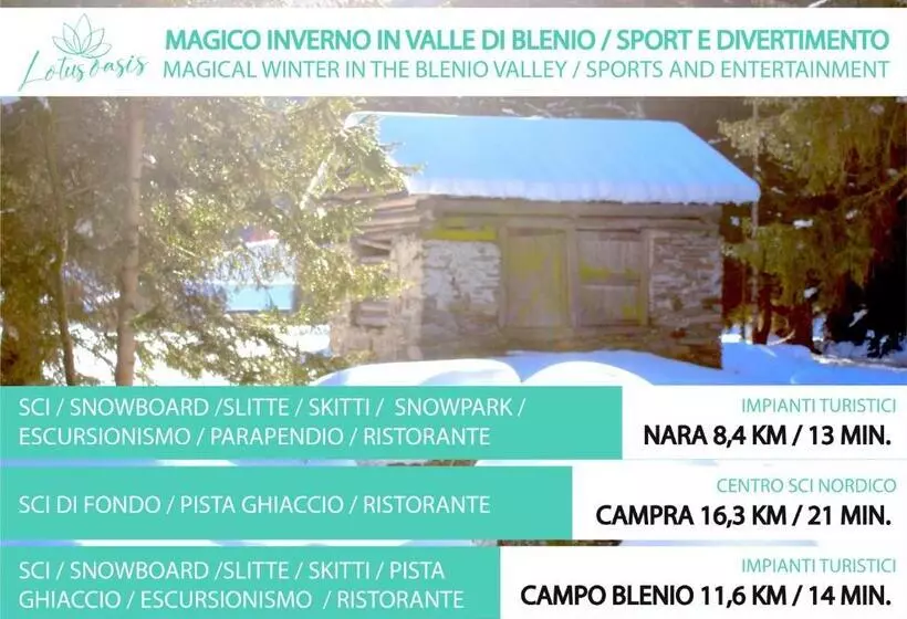 ベッドアンドブレックファースト Lotus Oasis I Natural Food & Room Experience