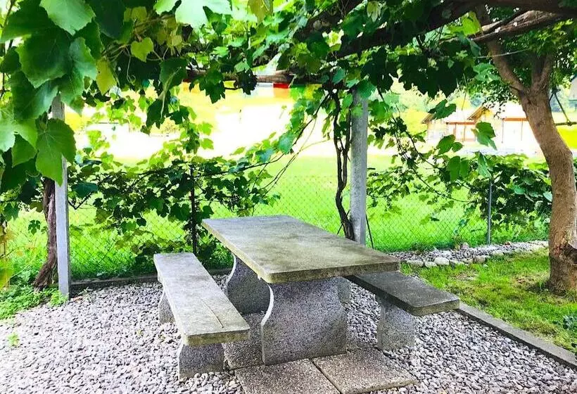 ベッドアンドブレックファースト Lotus Oasis I Natural Food & Room Experience