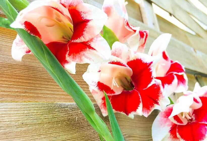 Bed and Breakfast Lotus Oasis I Natural Food & Room Experience