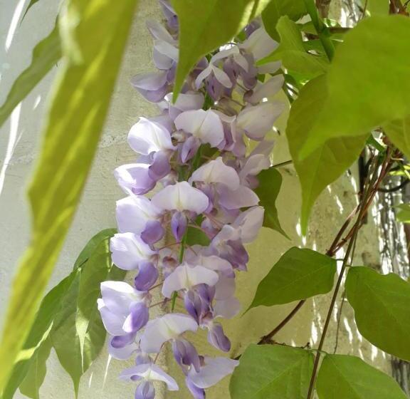 민박 Une Parenthèse En Champagne