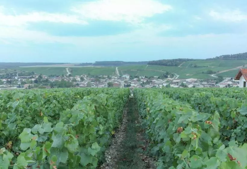 Aamiaismajoitus (B&B) Une Parenthèse En Champagne