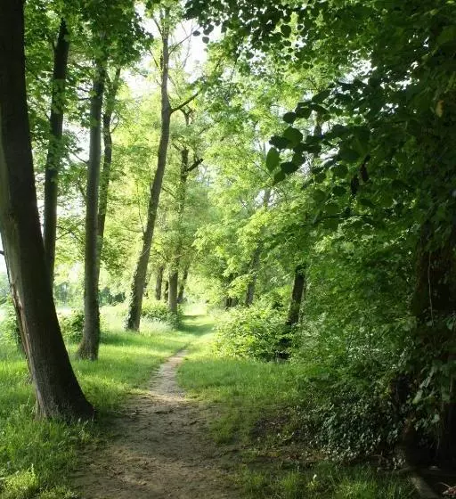 Aamiaismajoitus (B&B) Une Parenthèse En Champagne