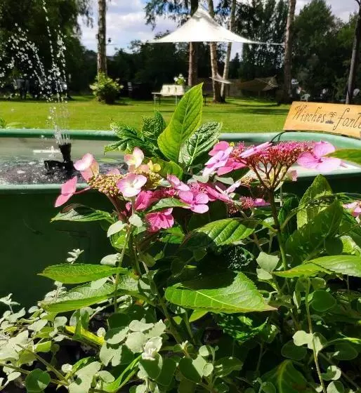 Bed and Breakfast Villa Eden