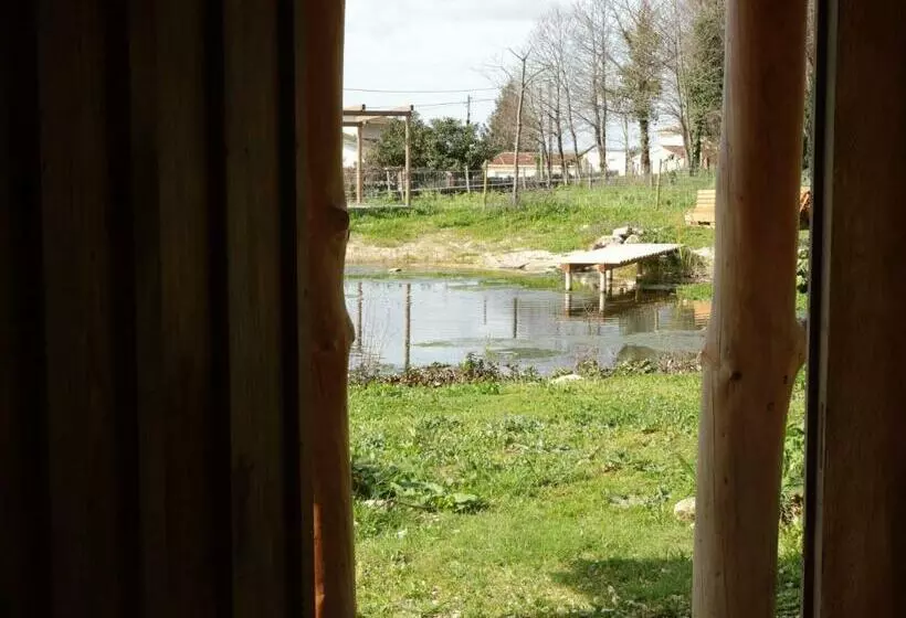 ホテル Eco Hostel Quinta Das Relvas