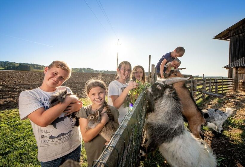 酒店 Kindererlebnis Und Biobauernhof Hipp Bruckner