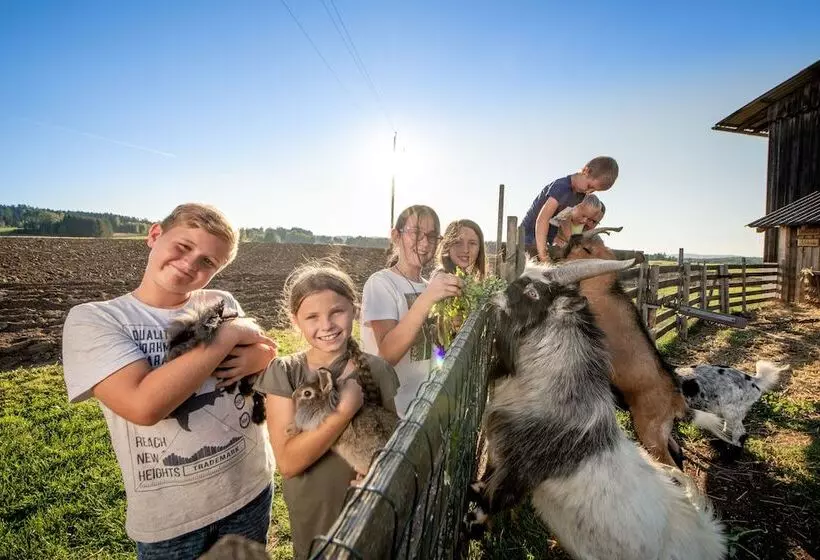 Hotelli Kindererlebnis  Und Biobauernhof Hipp Bruckner