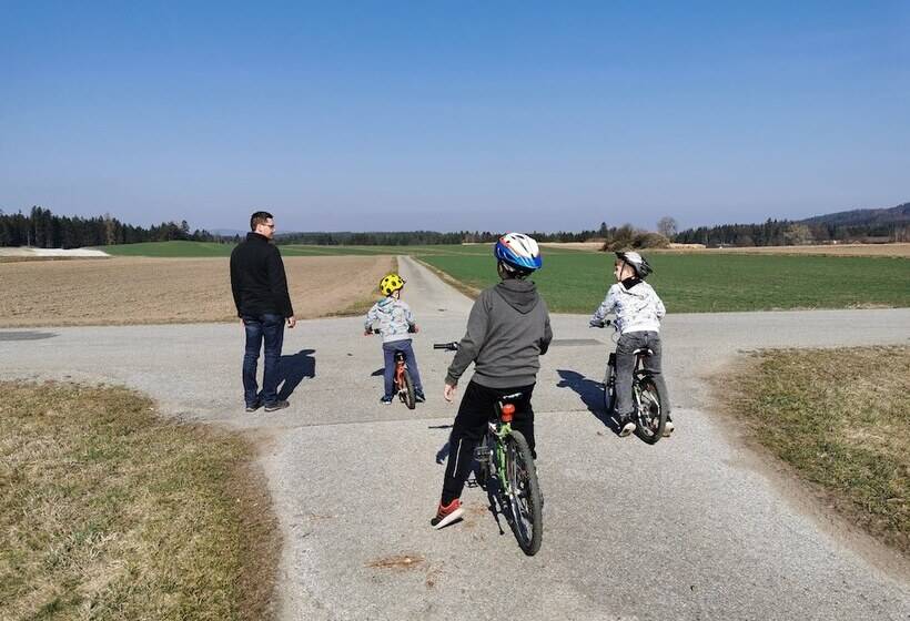 酒店 Kindererlebnis Und Biobauernhof Hipp Bruckner