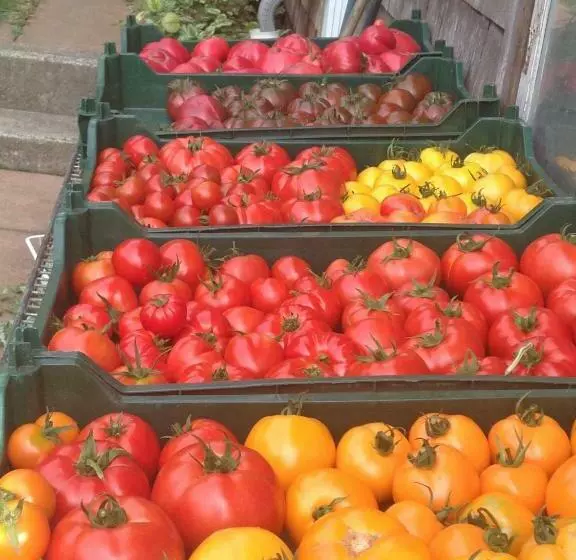 Hotelli Nettles Farm