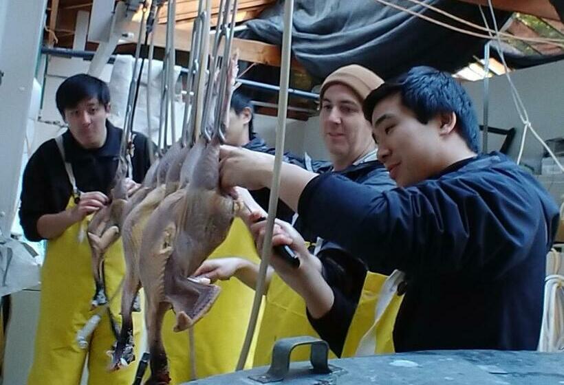 ホテル Nettles Farm