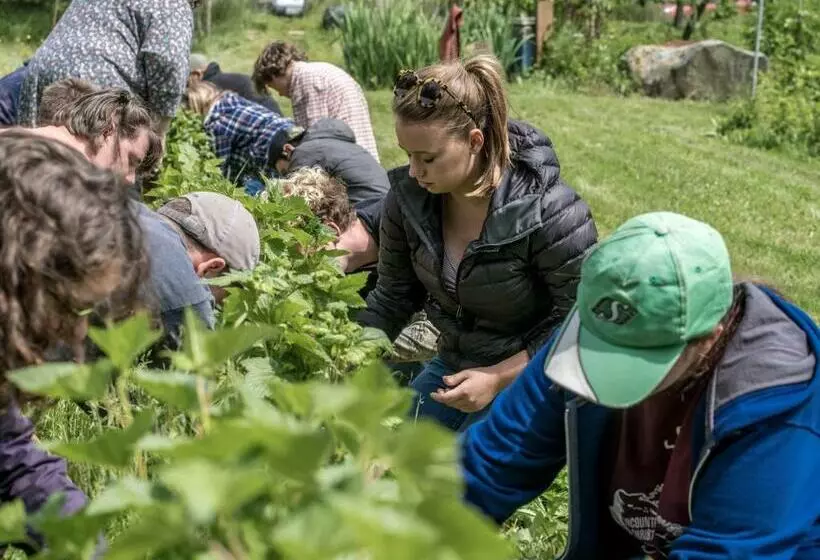 Hotelli Nettles Farm