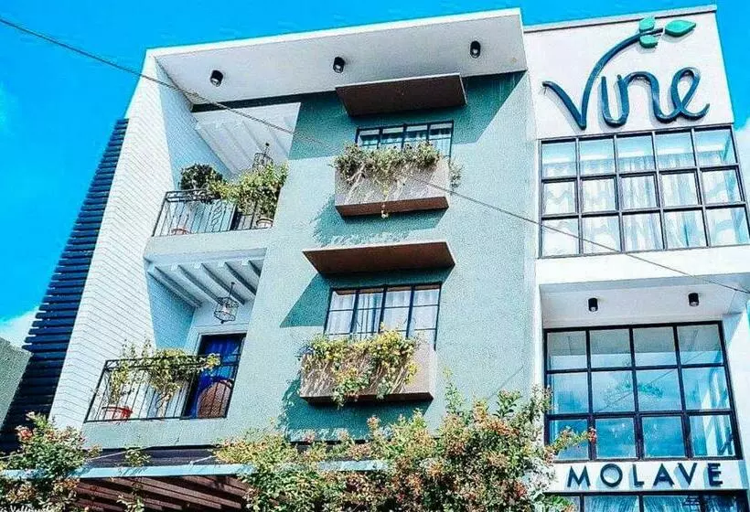 Hotelli Reddoorz @ Vine Molave