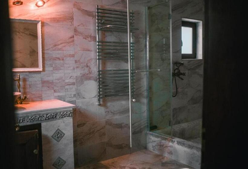 Pensão Hanul Vanatorului