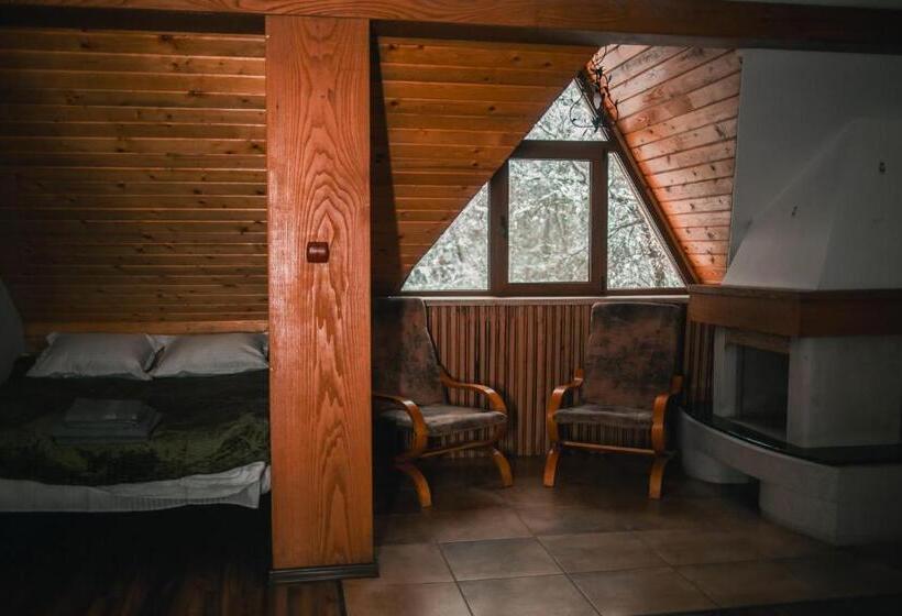 Pensão Hanul Vanatorului